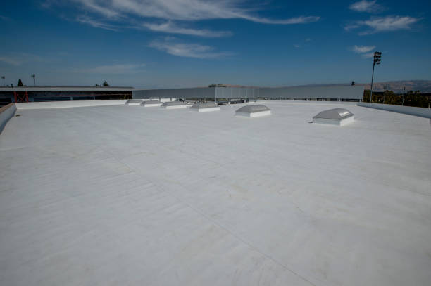 Best Roof Coating and Sealing  in Orwell, OH